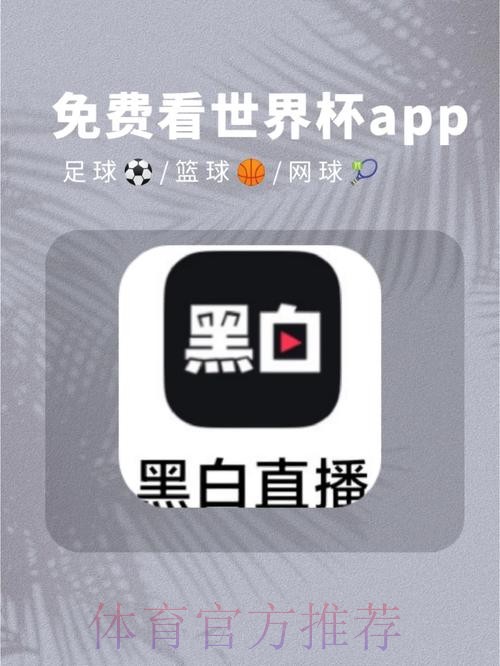 官方正版下载:世界杯直播助手 官方正版下载:世界杯直播助手